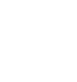 noun_data-server_2610405
